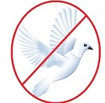 no_peace