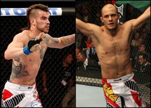 Thatch (left) and Bahadurzada (right)
