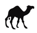 camel